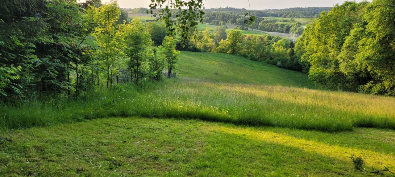 Działka budowlana Wola Więcławska, ul. Spacerowa. Zdjęcie 3