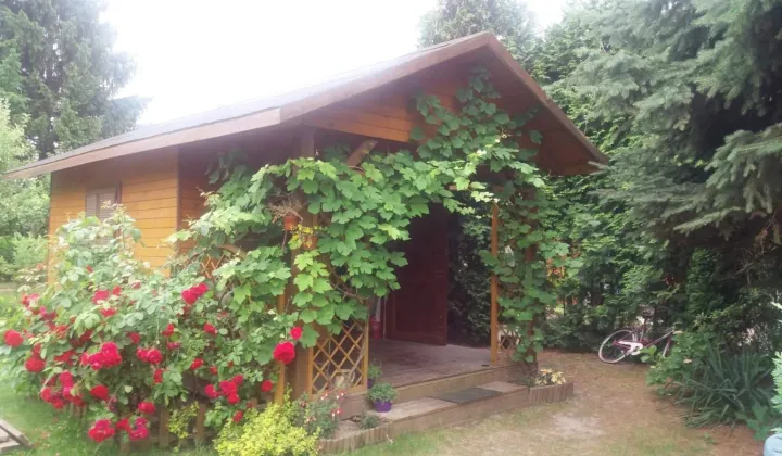 Działka rod Poznań, ul. Bukowska