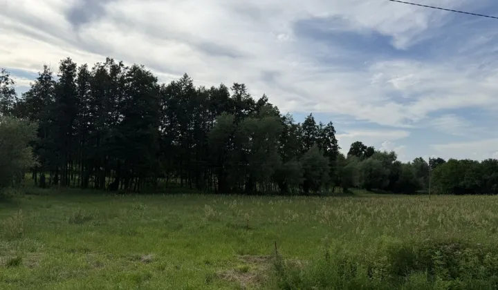 Działka budowlana Ciółkowo Małe