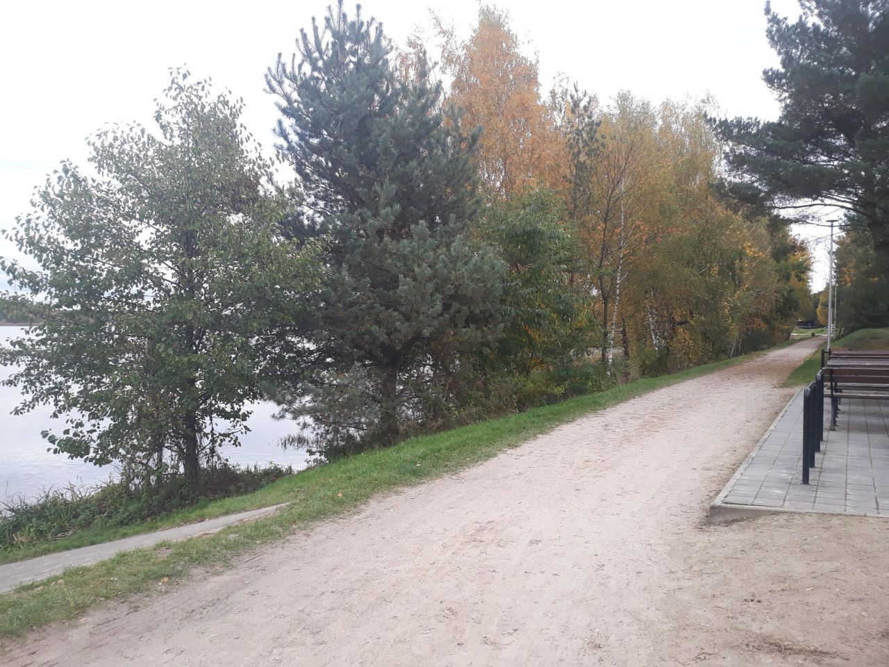 Działka leśna Józefina Murowaniec. Zdjęcie 7