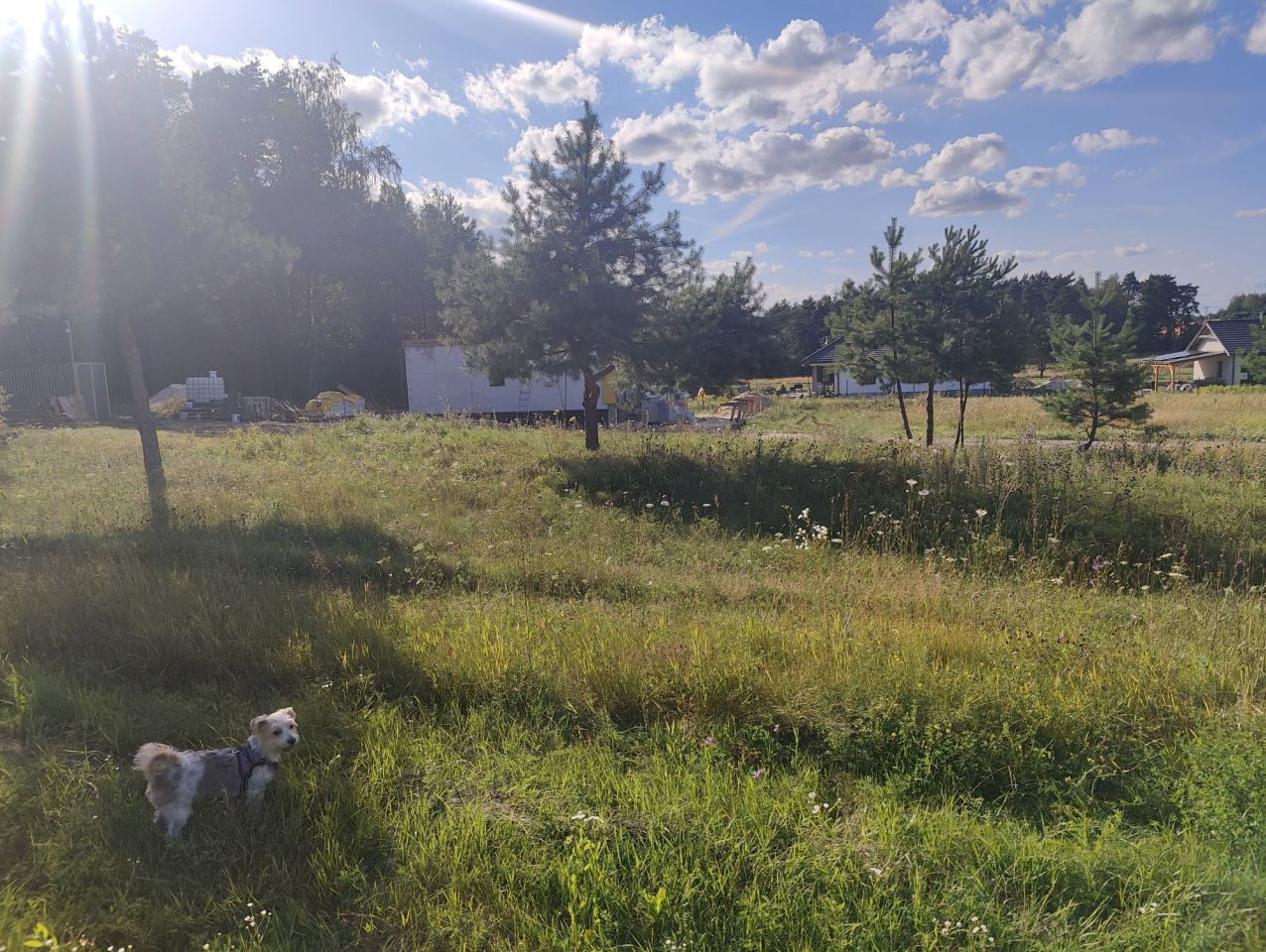 Działka budowlana Marzysz Marzysz Pierwszy. Zdjęcie 7