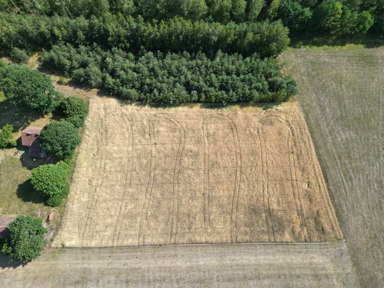 Działka budowlana Jerominy. Zdjęcie 3