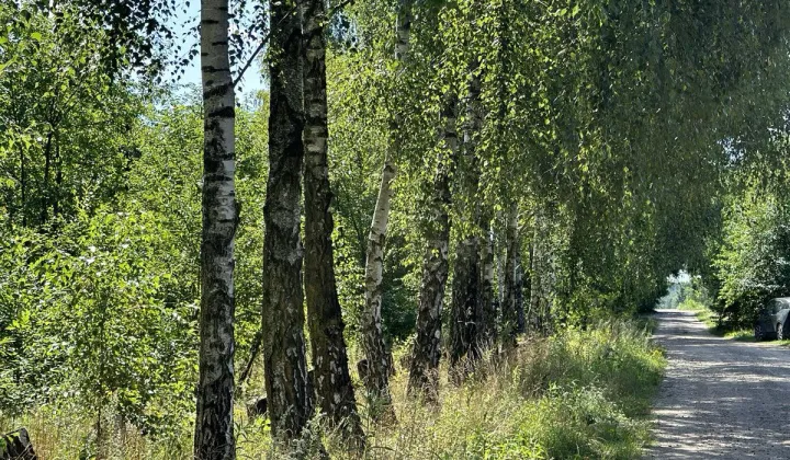 Działka budowlana Legendzin