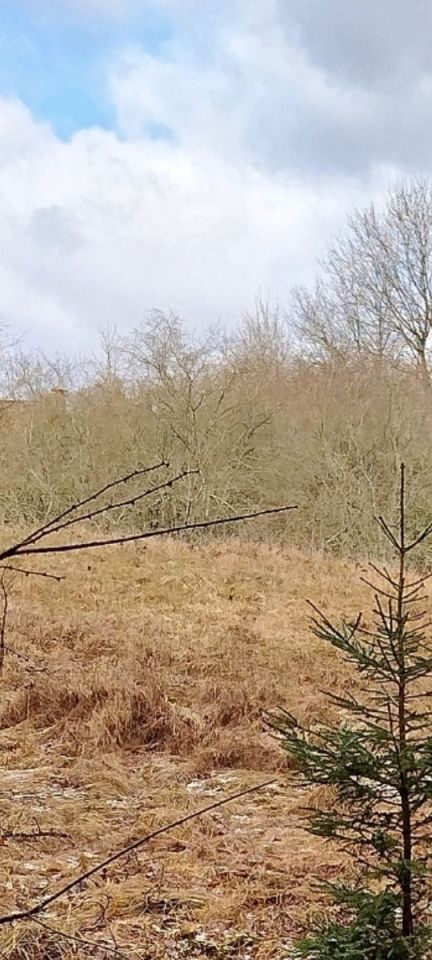 Działka budowlana Jasionów. Zdjęcie 3