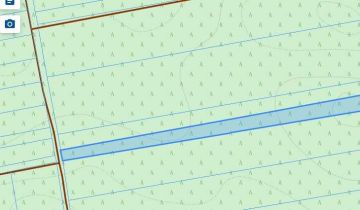 Działka leśna Kalenice