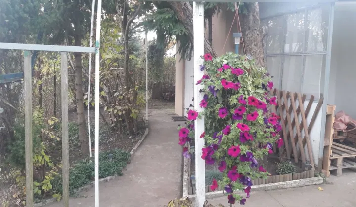 Działka rod Olsztyn Kormoran