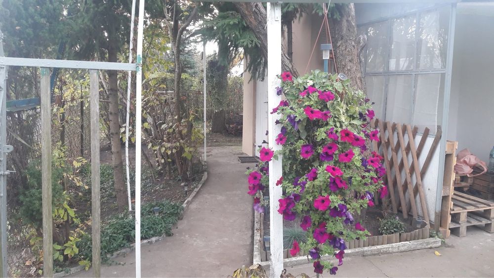 Działka rod Olsztyn Kormoran