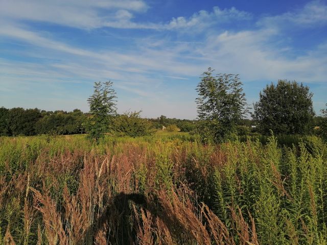 Działka budowlana Cianowice Pod Skałkami, ul. Słoneczna. Zdjęcie 11