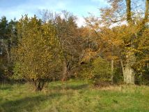 Działka budowlana Ciężkowiczki. Zdjęcie 4