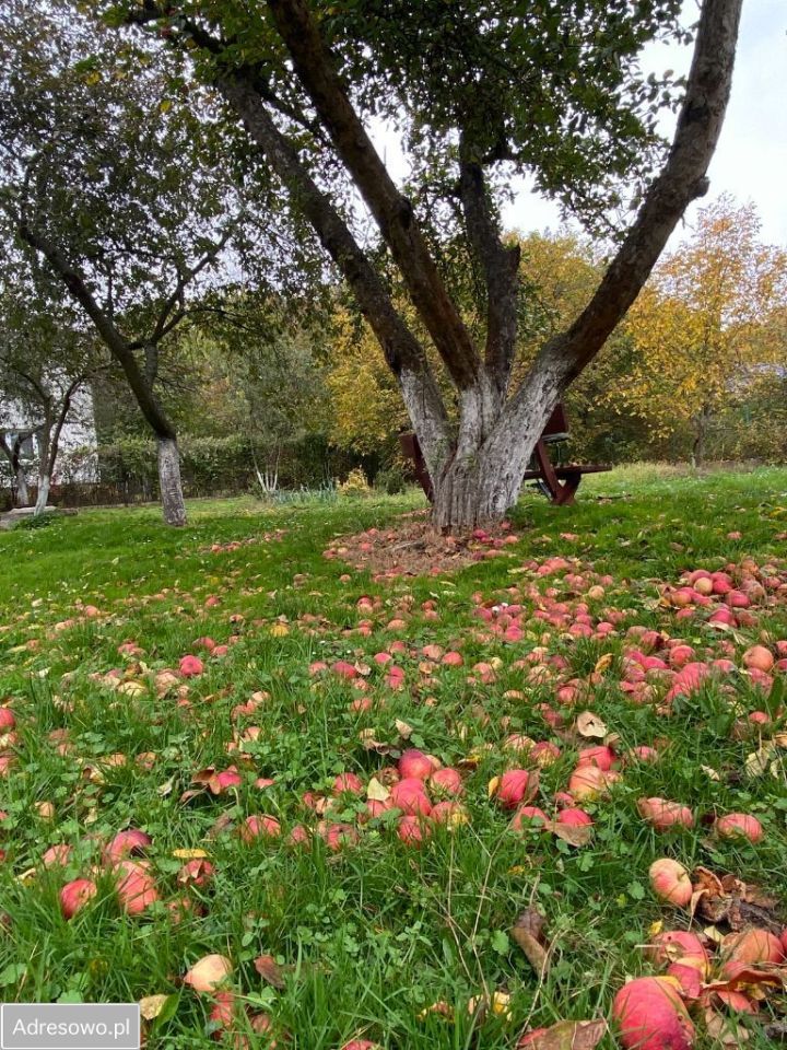 Działka budowlana Bolesławiec, ul. Generała Augusta Emila Fieldorfa "Nila". Zdjęcie 10