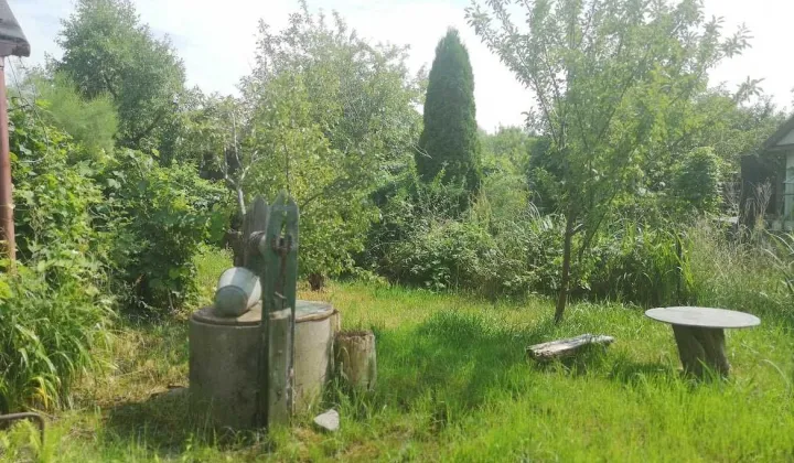 Działka rod Warszawa Paluch, ul. Ogrodników