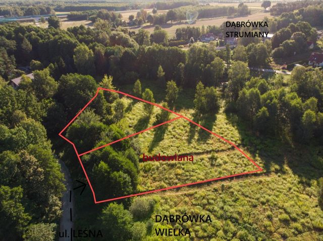 Działka budowlana Dąbrówka Wielka, ul. Leśna. Zdjęcie 5