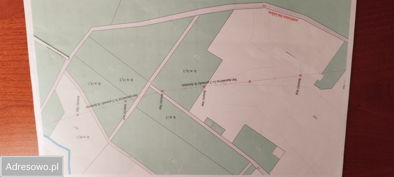 Działka leśna Piękocin. Zdjęcie 3