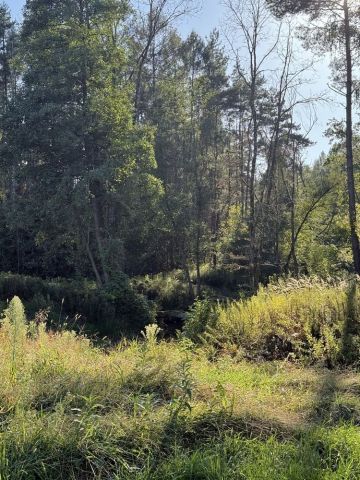 Działka budowlana Radawa. Zdjęcie 1