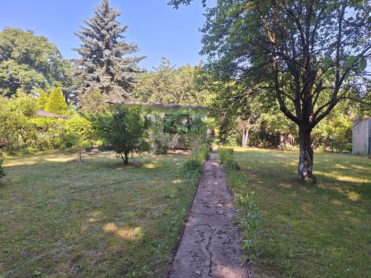 Działka rod Świdnica Łochowo, ul. Wypoczynek. Zdjęcie 8