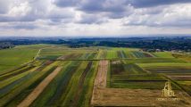 Działka rolna Czulice. Zdjęcie 4