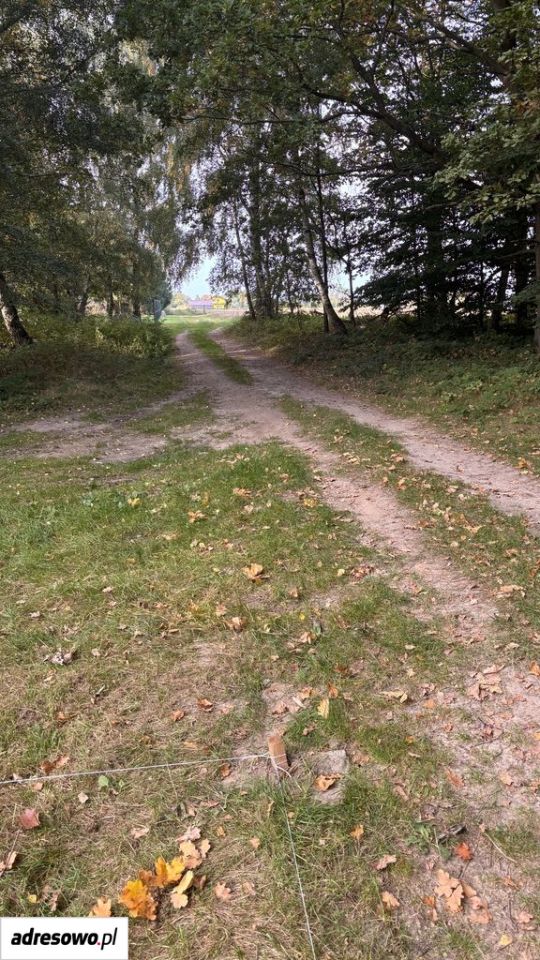 Działka budowlana Sierosław. Zdjęcie 7