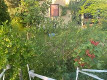 Działka rod Zielonka. Zdjęcie 2