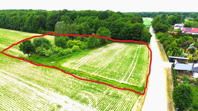 Działka siedliskowa Łęczyca. Zdjęcie 2