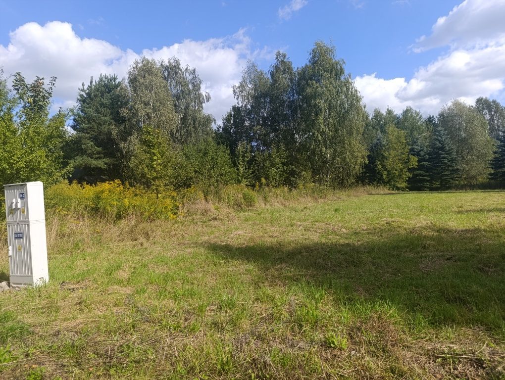 Działka budowlana Anielew. Zdjęcie 3