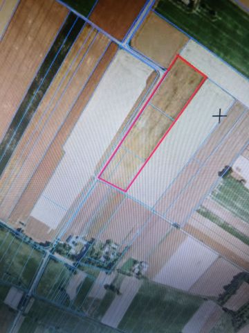 Działka rolna Guzówka. Zdjęcie 1