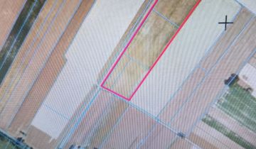 Działka rolna Guzówka