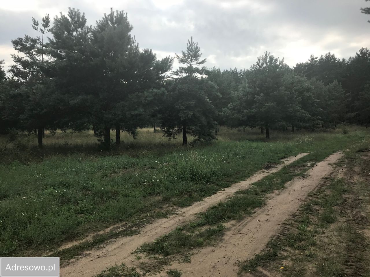 Działka budowlana Nowe Biskupice. Zdjęcie 3