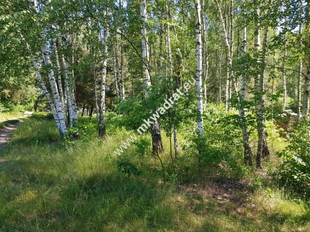 Działka budowlana Kuklówka Radziejowicka, www.mkwadrat.eu. Zdjęcie 2