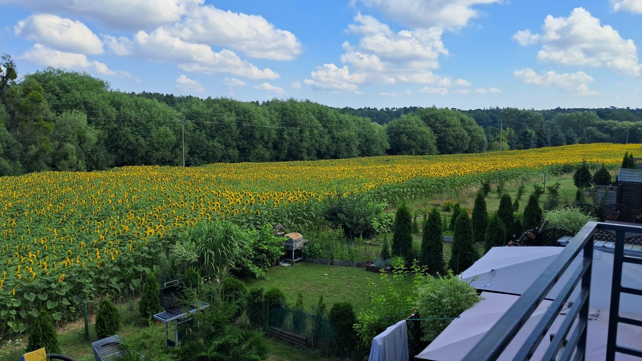 Mieszkanie 3-pokojowe Kaźmierz Nowa Wieś, ul. Leśna. Zdjęcie 1