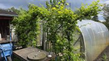 Działka rod Leszno. Zdjęcie 2