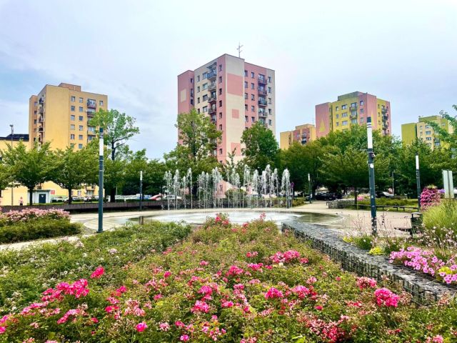 Mieszkanie 1-pokojowe Zawiercie Centrum. Zdjęcie 1