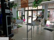 Lokal Chojnice Centrum, ul. 31 Stycznia. Zdjęcie 1