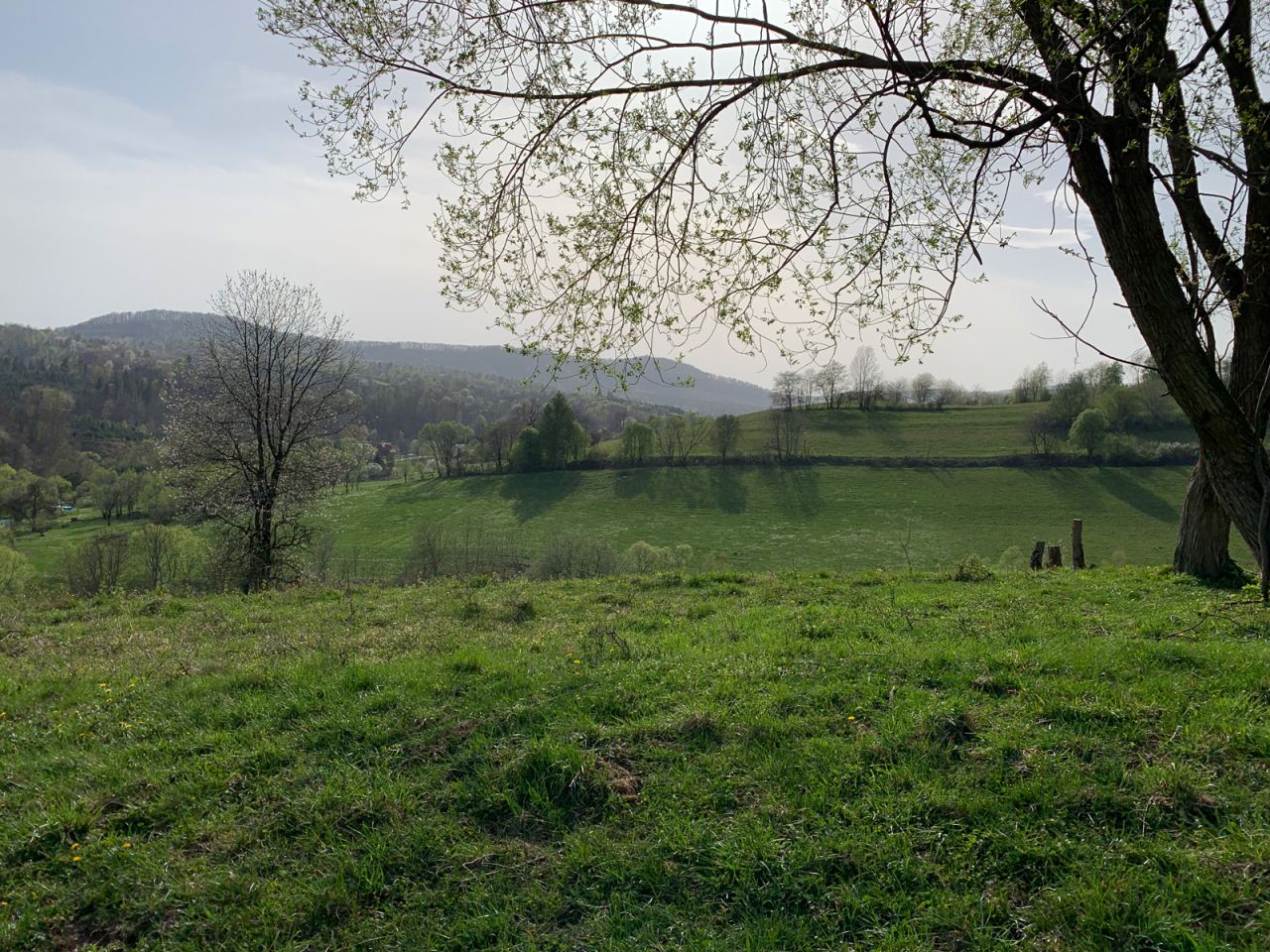 Działka budowlana Daszówka. Zdjęcie 2