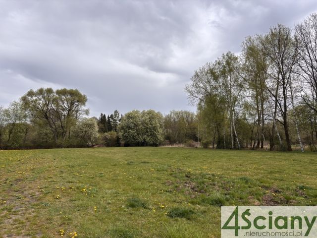 Działka budowlana Żółwin. Zdjęcie 4