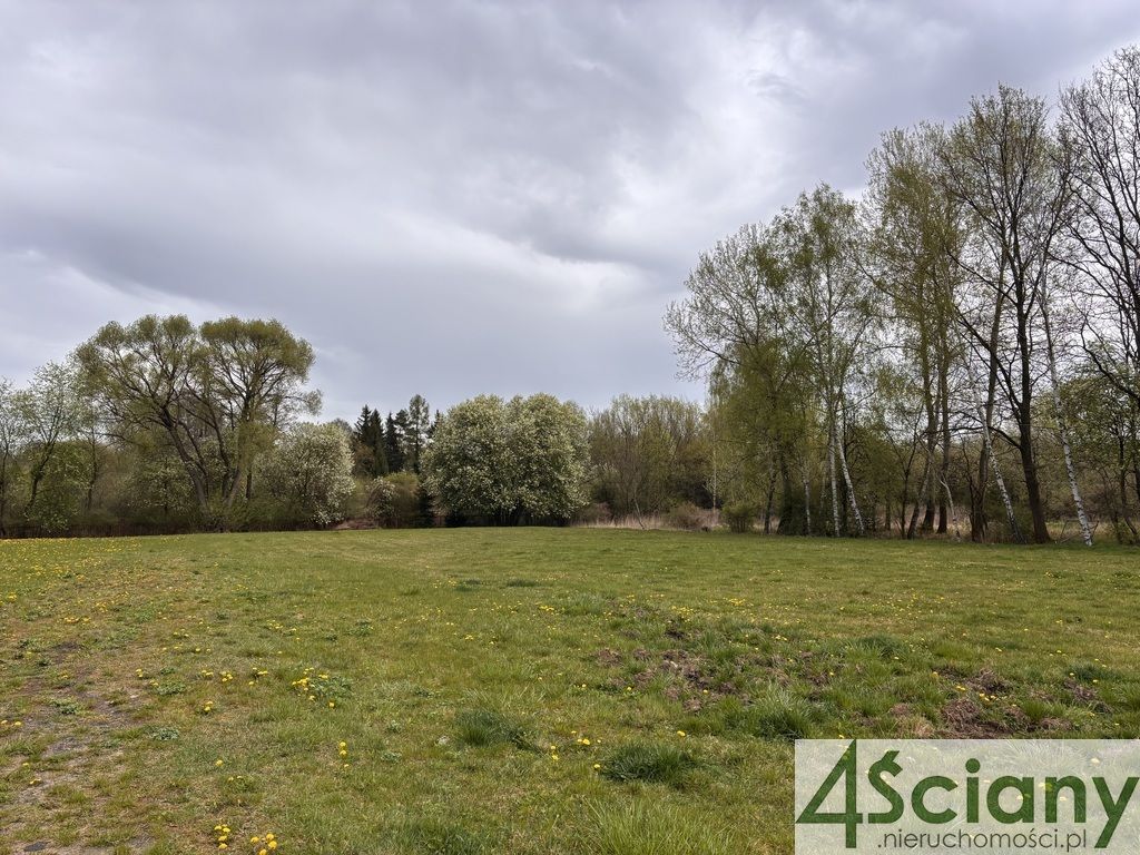 Działka budowlana Żółwin. Zdjęcie 4