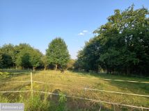 Działka rolna Chrosna. Zdjęcie 2