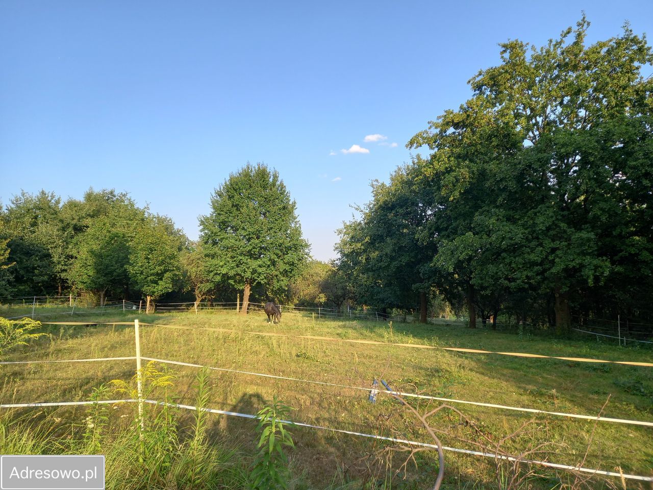 Działka rolna Chrosna. Zdjęcie 3