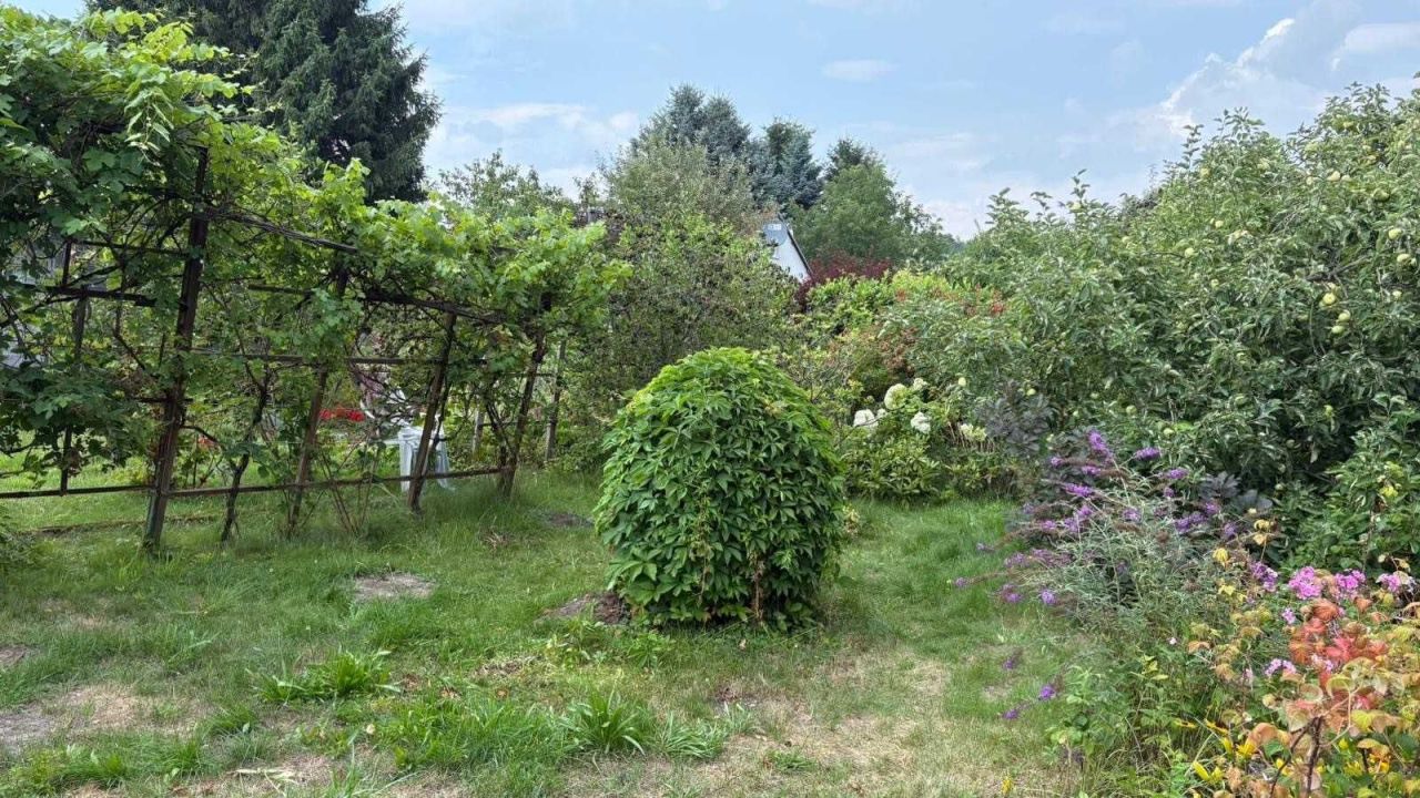 Działka rod Zielona Góra Jędrzychów. Zdjęcie 6