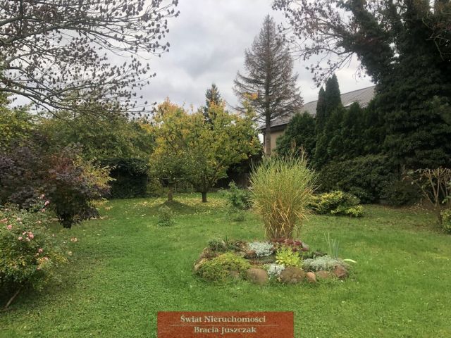 bliźniak Święta Katarzyna. Zdjęcie 8