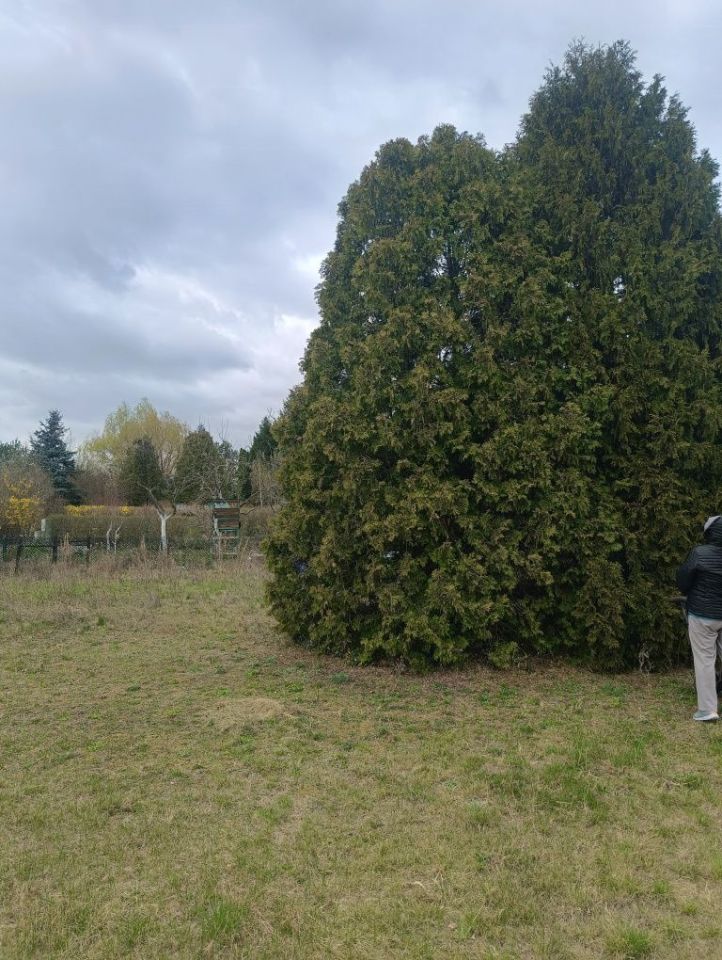 Działka rod Radom. Zdjęcie 3