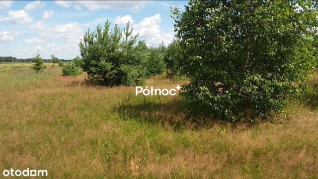 Działka budowlana Kotuń. Zdjęcie 6