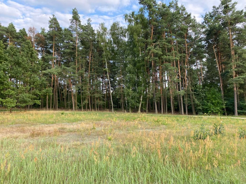 Działka rolno-budowlana Wierzchy Parzeńskie. Zdjęcie 5