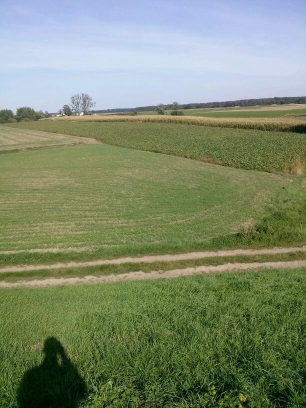 Działka rolna Łęg. Zdjęcie 4