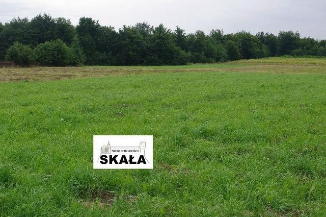 Działka rolna Sąspów