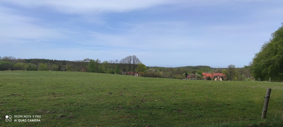 Działka rolno-budowlana Ciekocinko. Zdjęcie 5