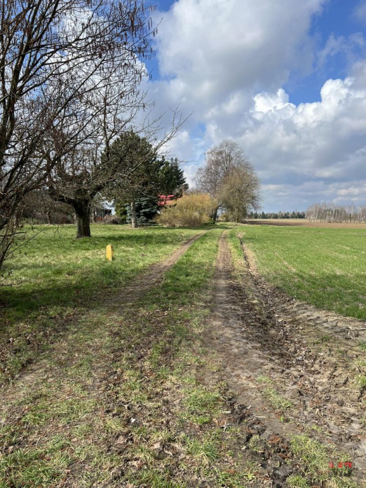 dom wolnostojący, 2 pokoje Wojciechów. Zdjęcie 25