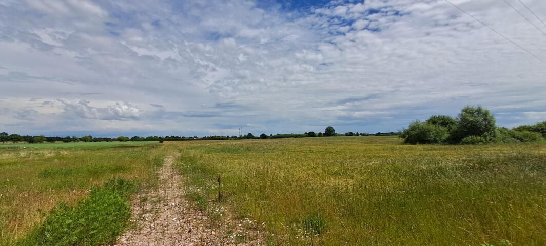 Działka budowlana Czernin. Zdjęcie 2