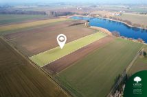 Działka rolno-budowlana Trąbin-Wieś Parcele Trąbińskie