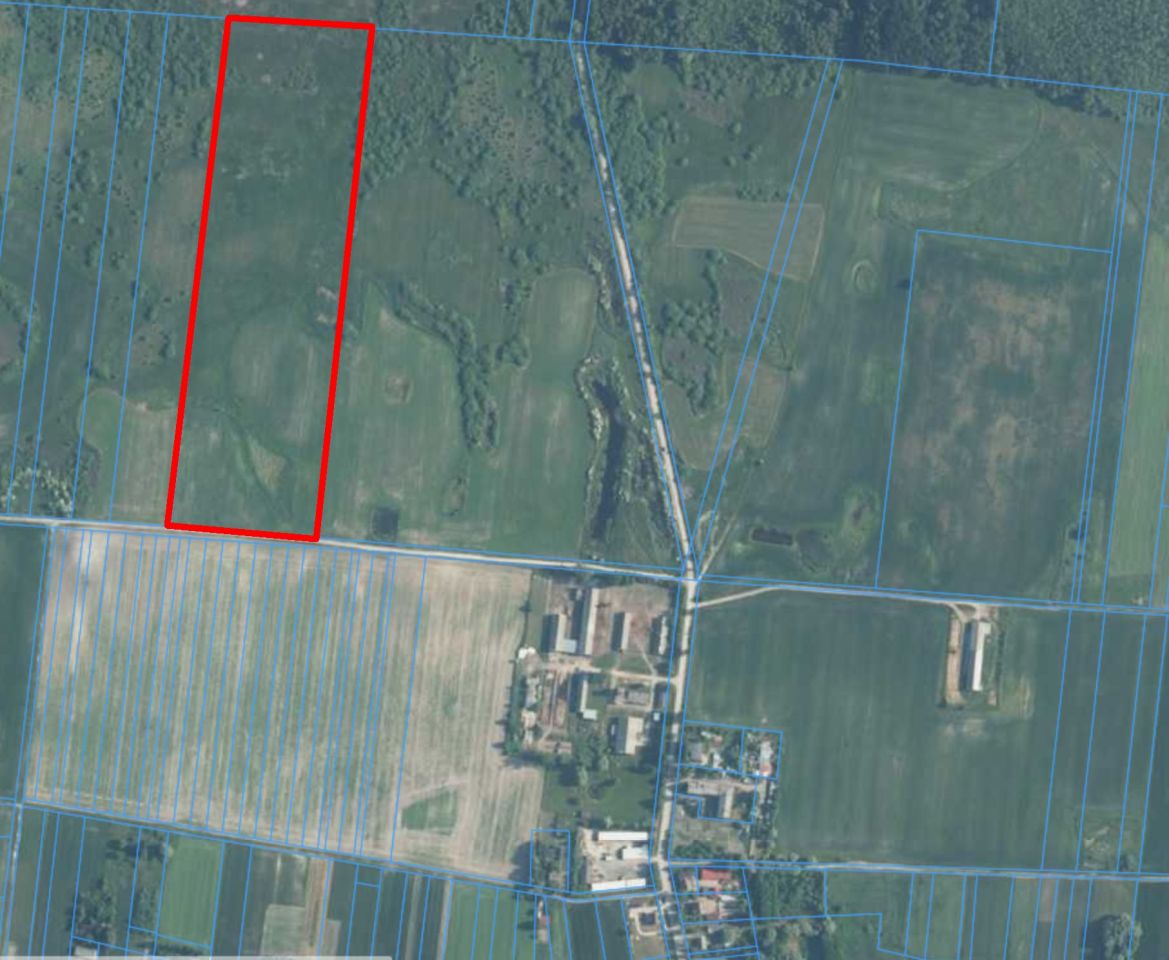 Działka rolna Brzeźno, Brzeźno. Zdjęcie 4