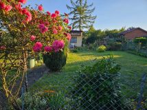 Działka rod Poznań Winogrady, ul. Serbska. Zdjęcie 4